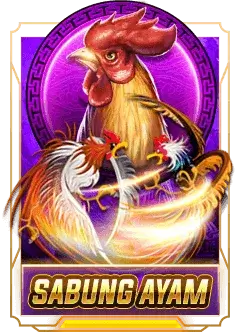 aurahoki sabung ayam