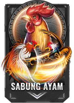 qqindah sabung ayam